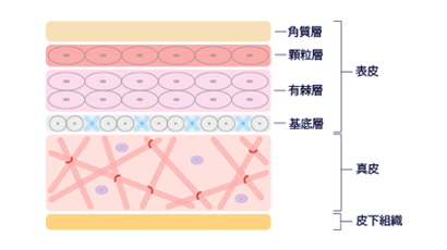 Pico Fractional image